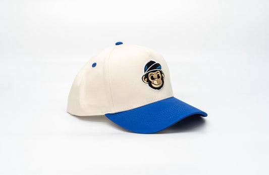 "APE" Two-Tone Blue A-Frame